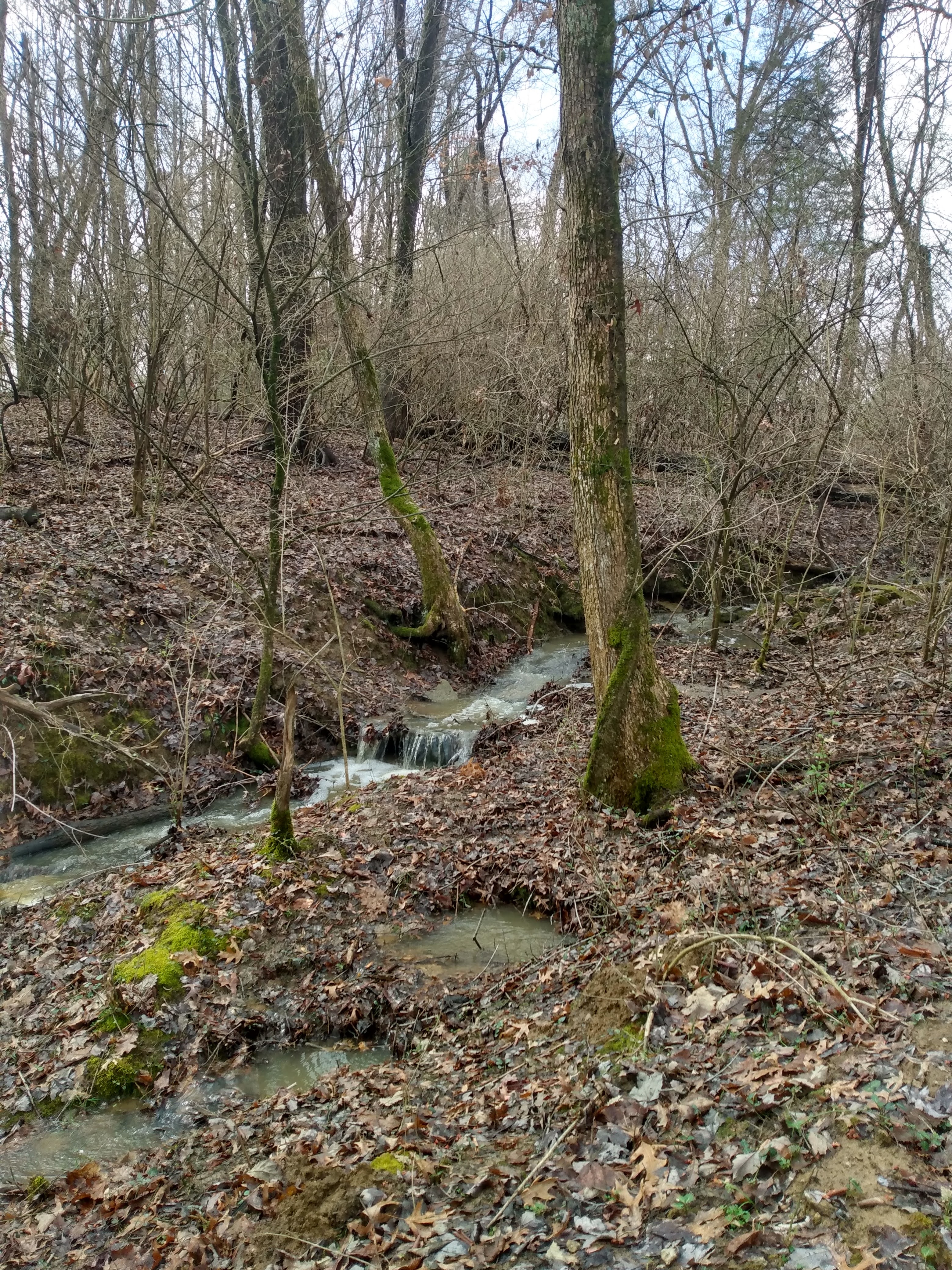 Farm setting