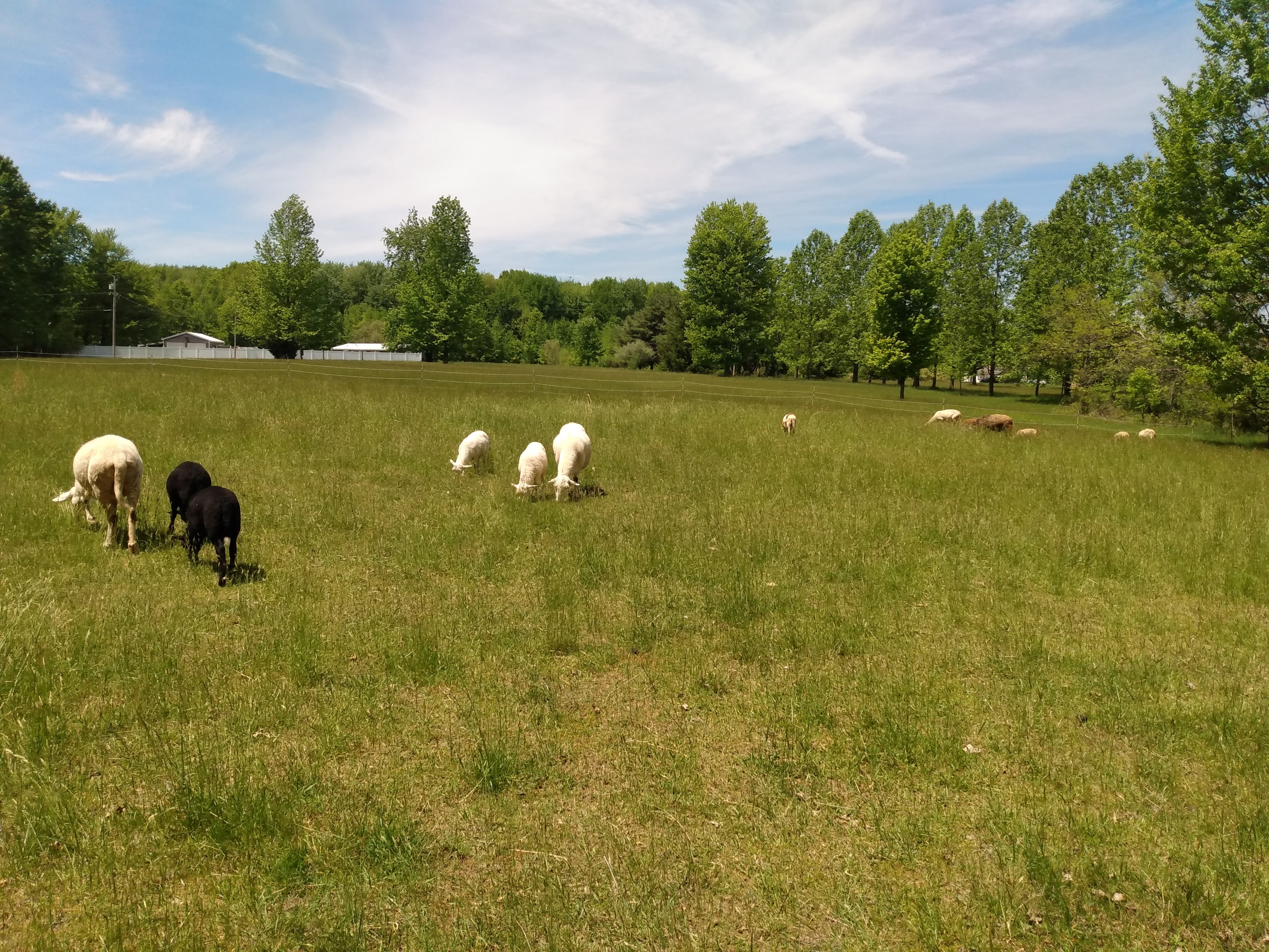 Farm life