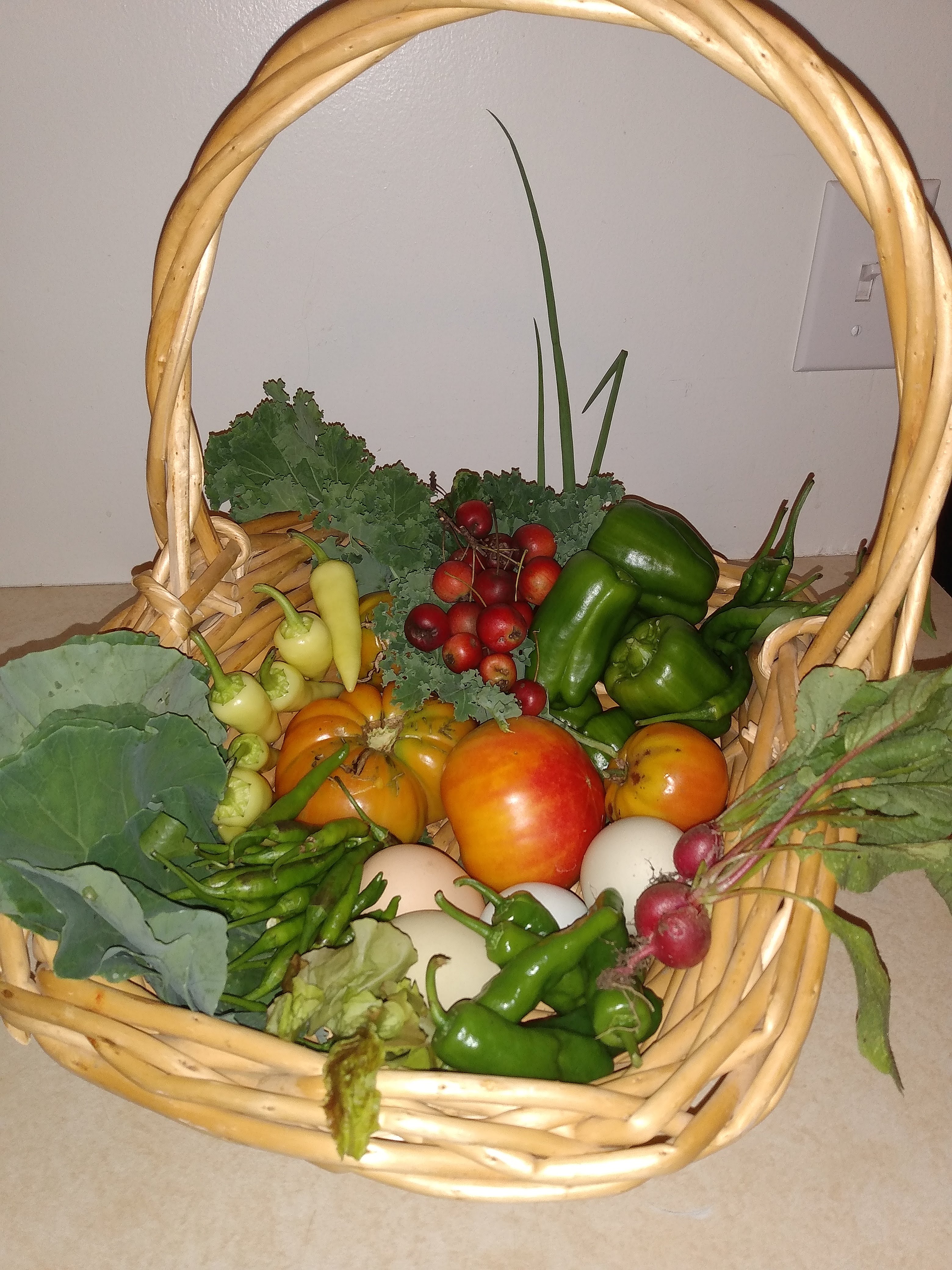 Community Image 7