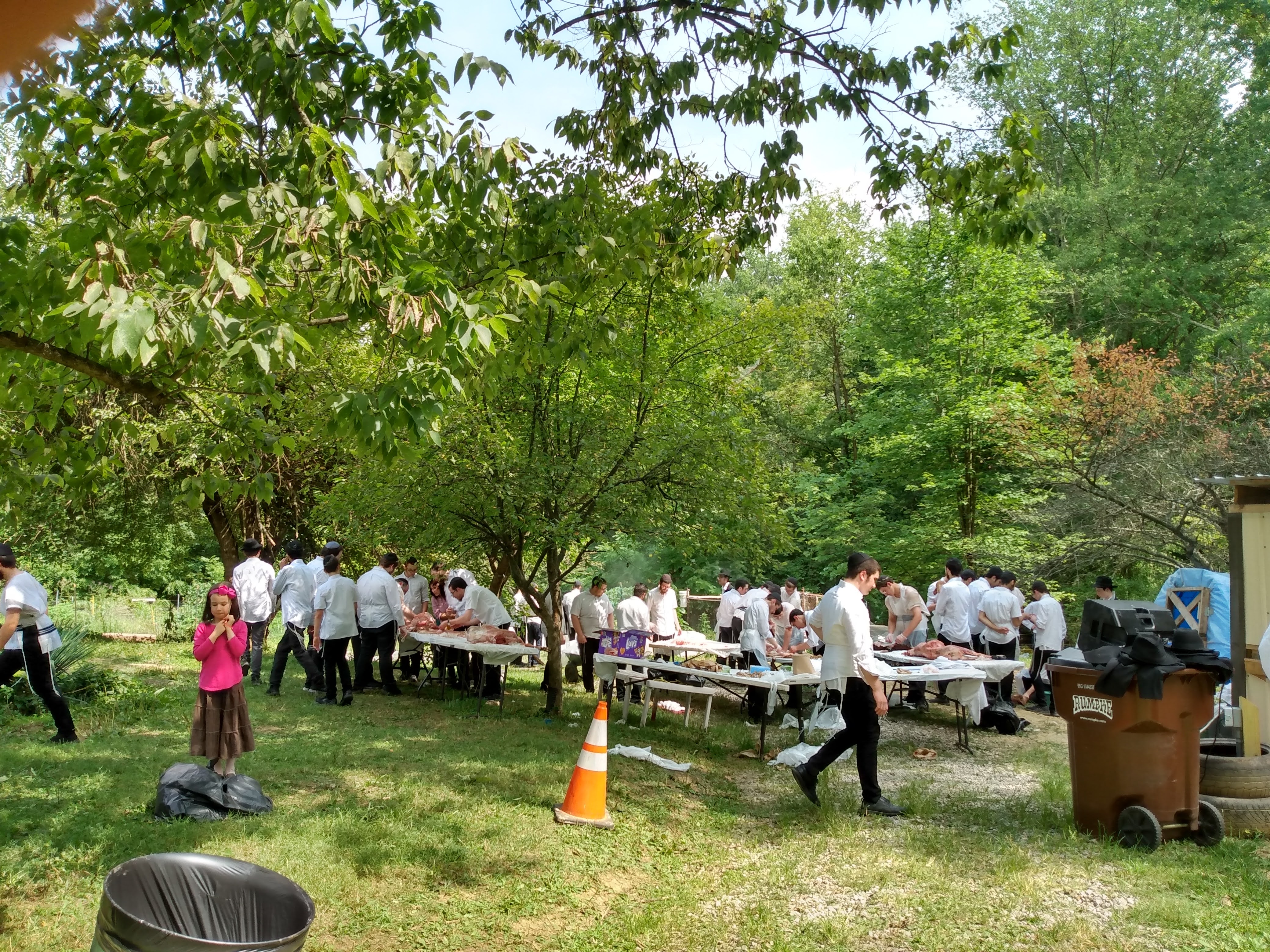 Community Image 8