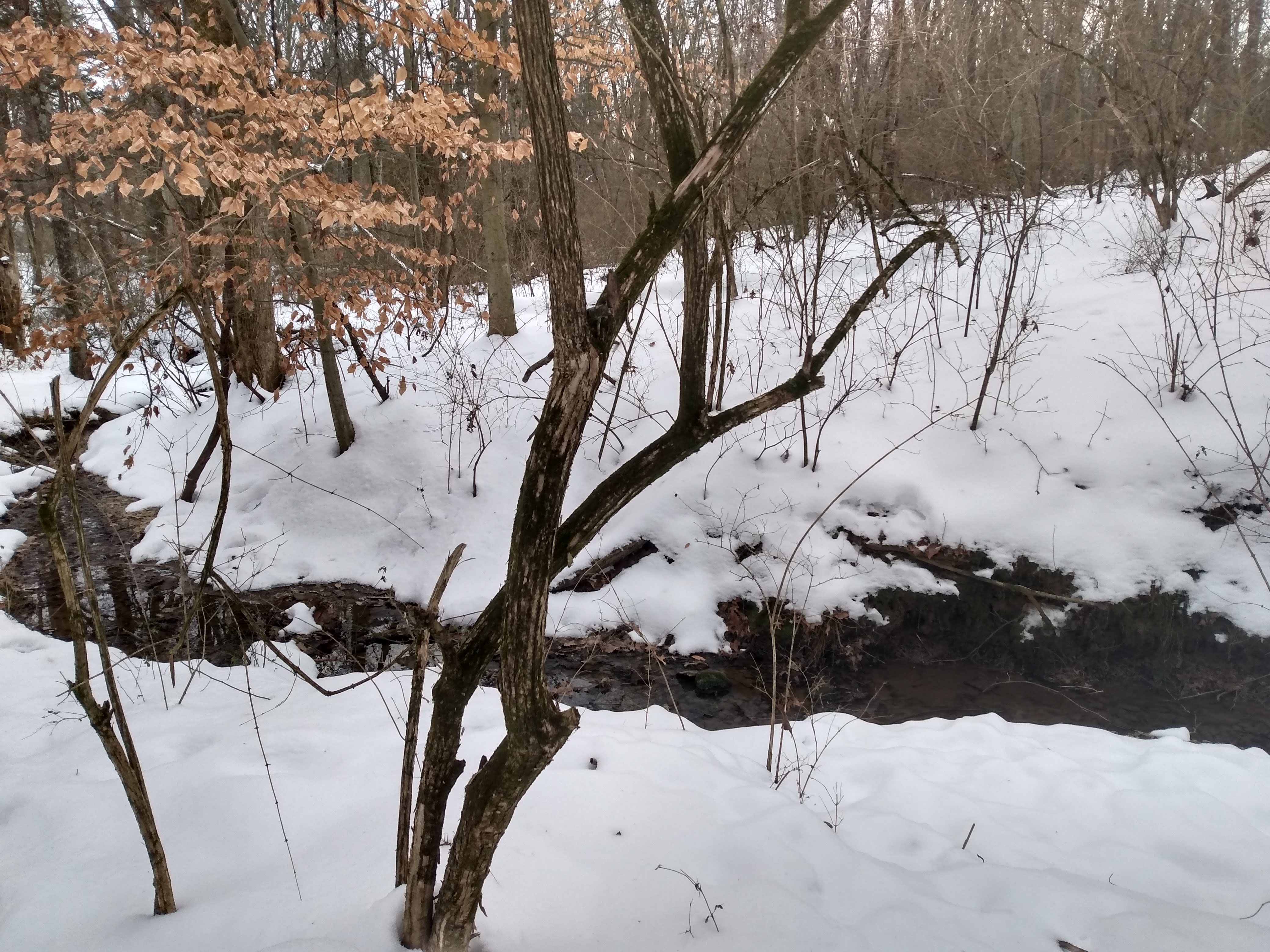 Community Image 14