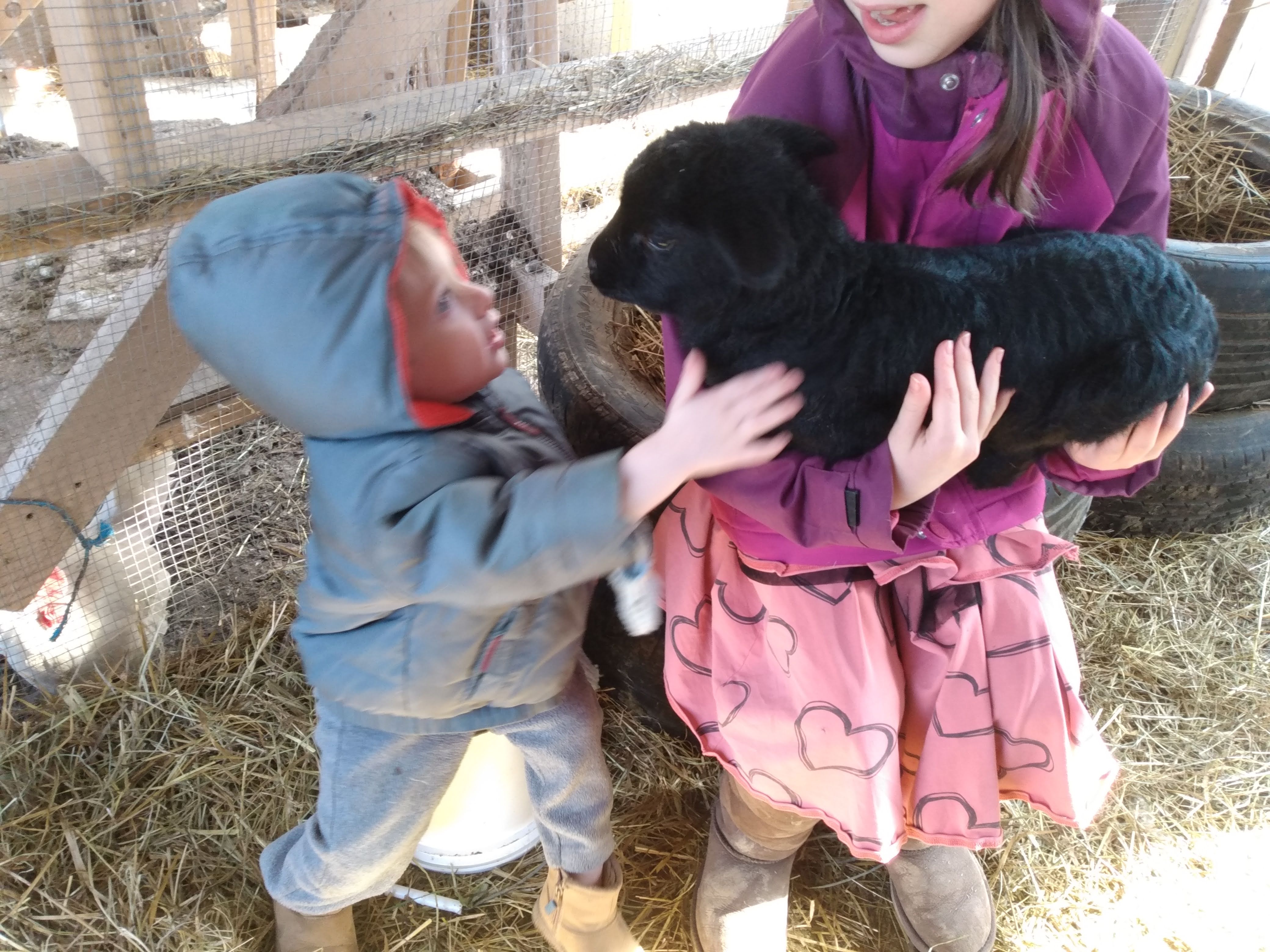 Farm life
