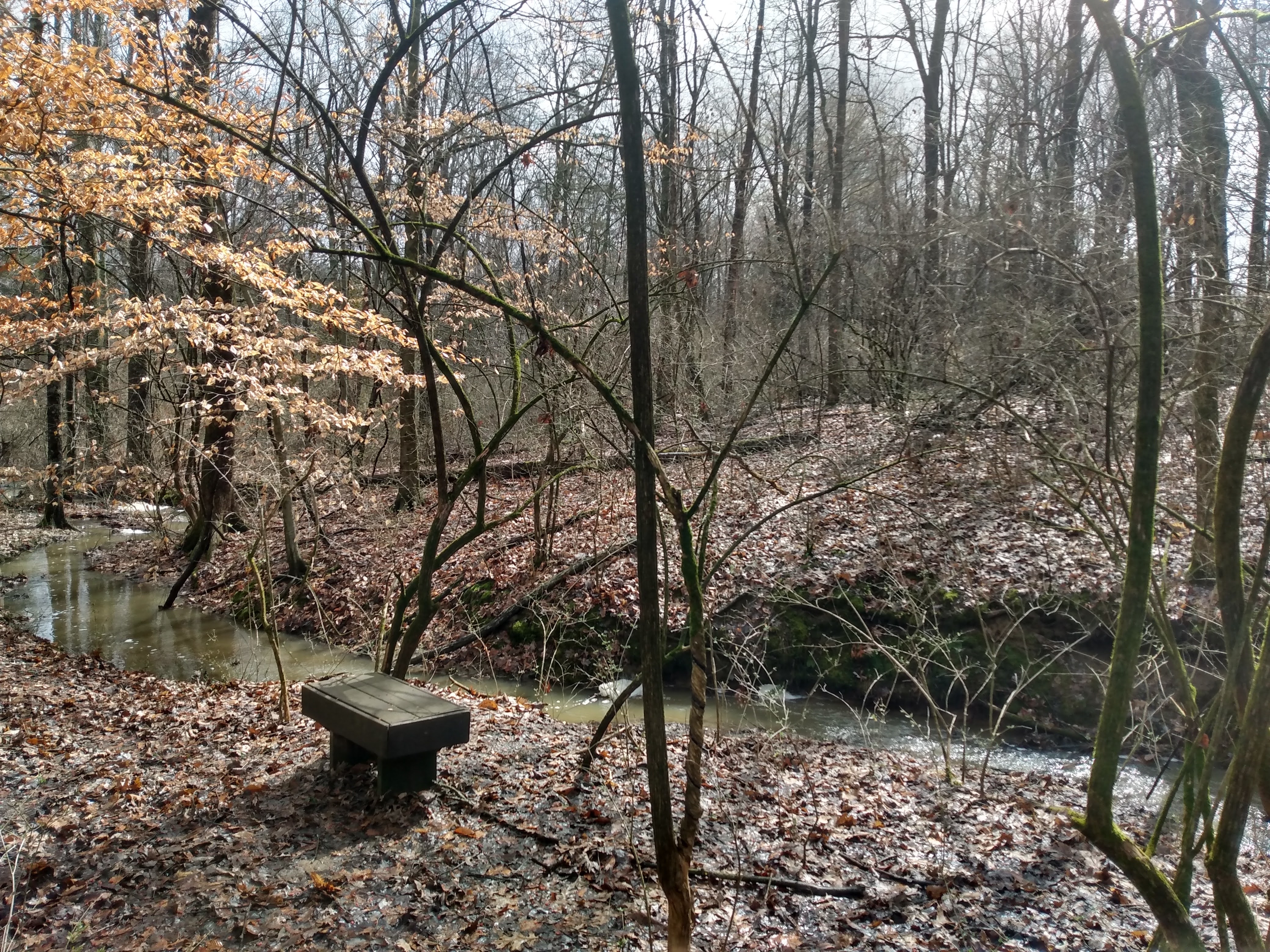 Community Image 18