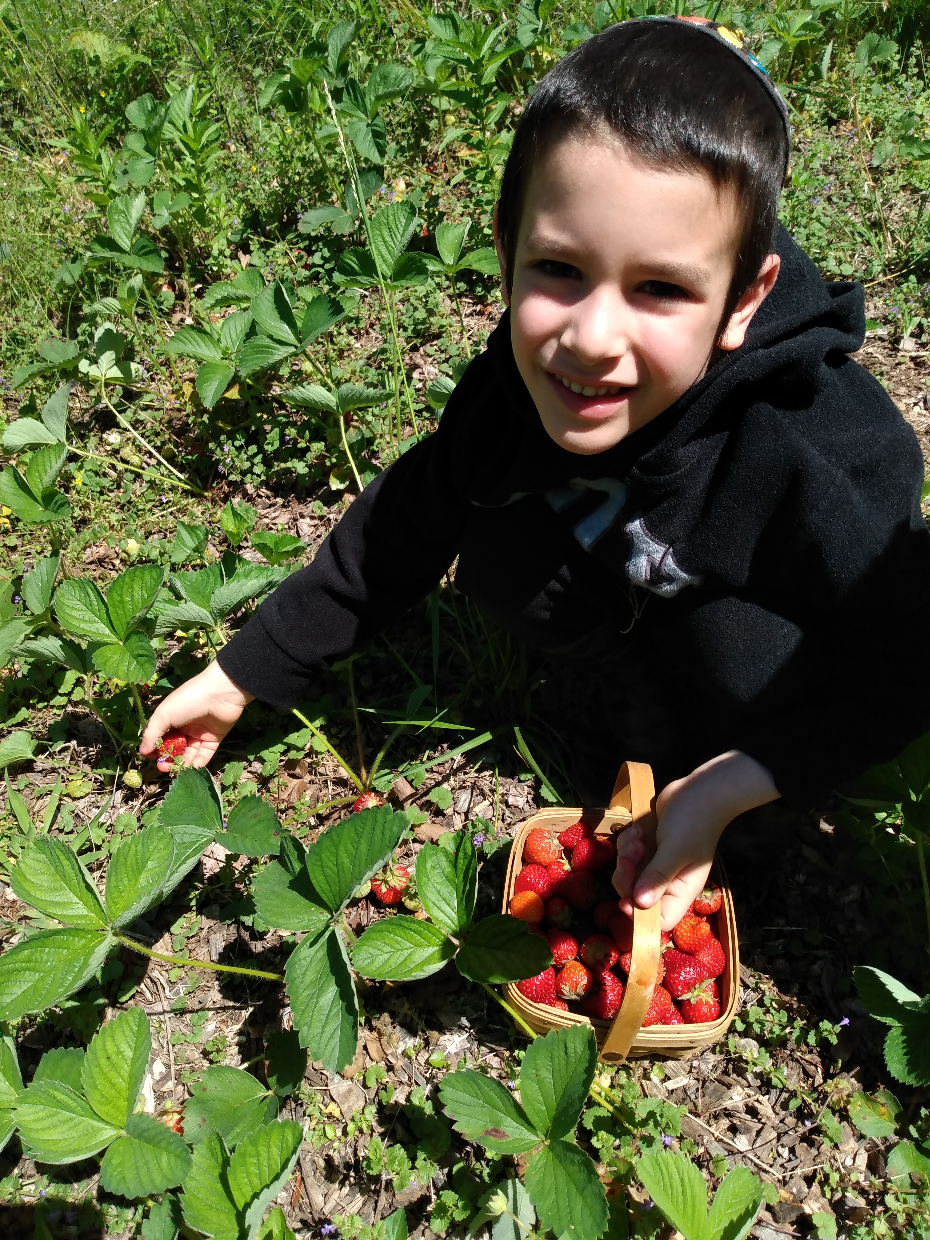Community Image 22