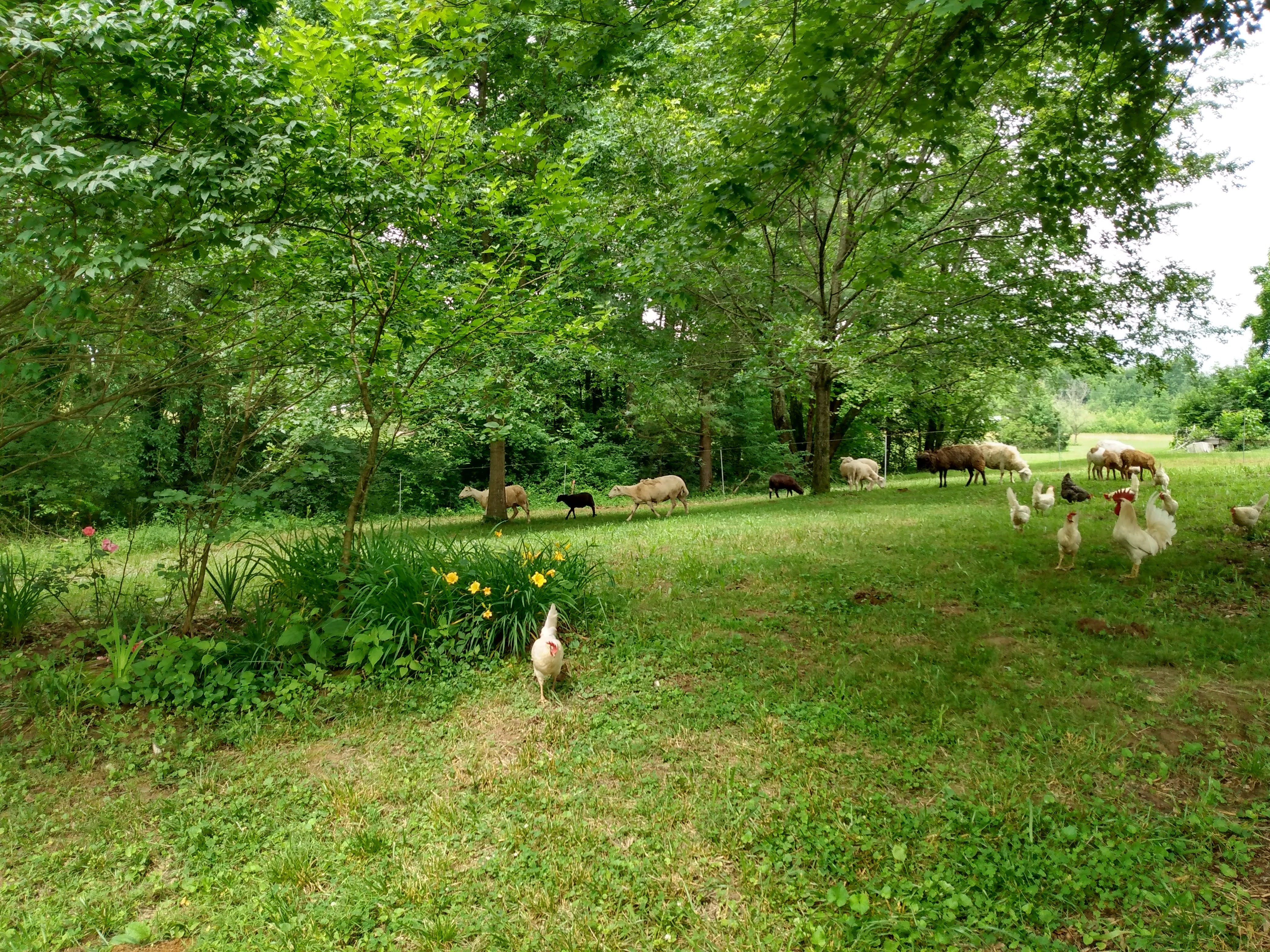 Community Image 23